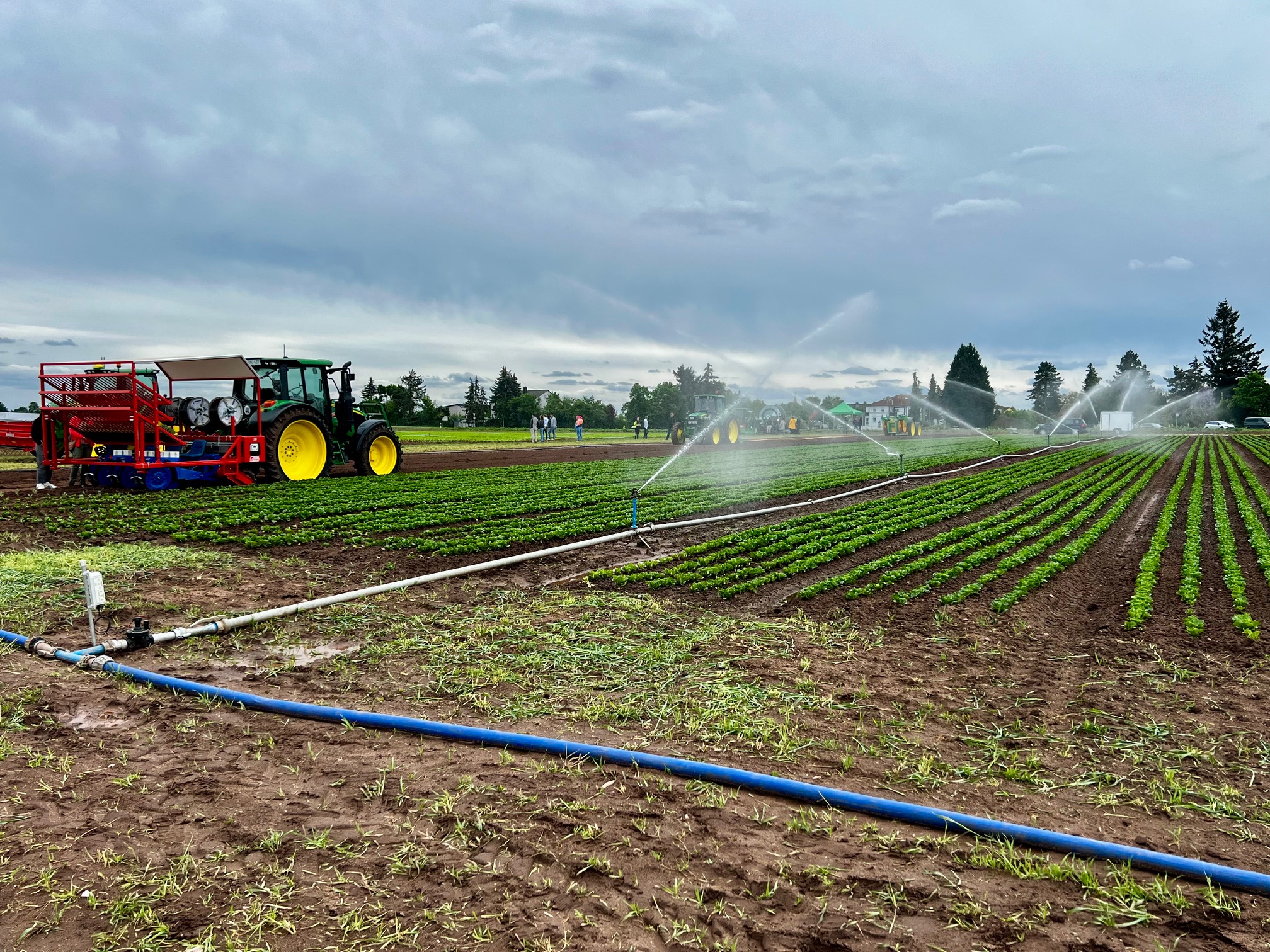 Informieren zum Landesverband 